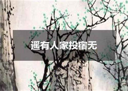 遥有人家投宿无