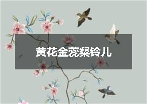 黄花金蕊粲铃儿