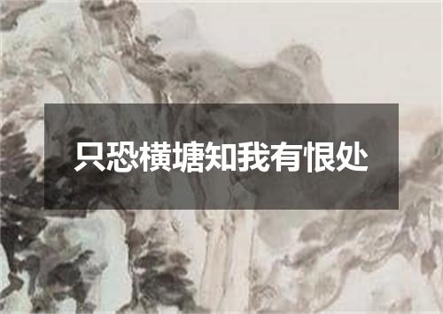 只恐横塘知我有恨处