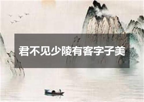 君不见少陵有客字子美