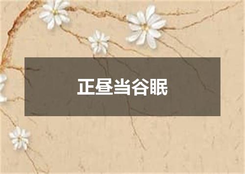 正昼当谷眠
