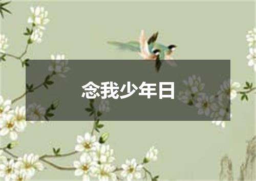 念我少年日