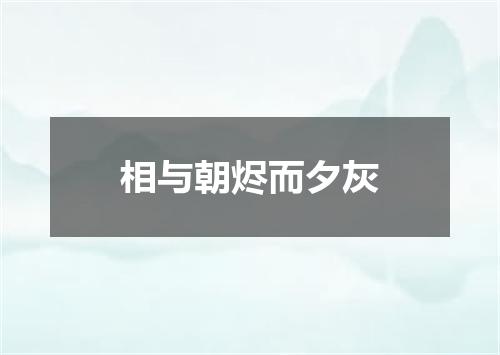 相与朝烬而夕灰