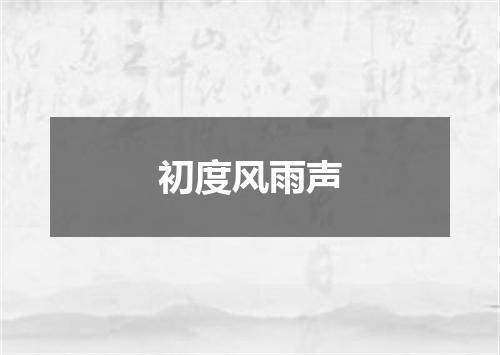初度风雨声