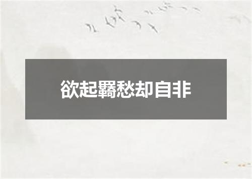 欲起羇愁却自非