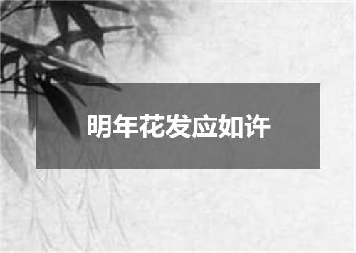 明年花发应如许