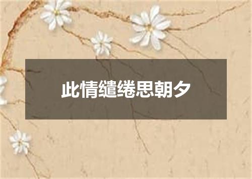 此情缱绻思朝夕