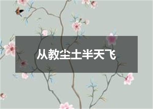 从教尘土半天飞