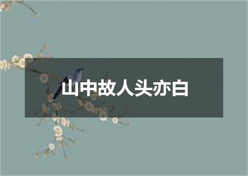 山中故人头亦白