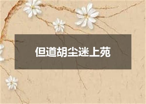 但道胡尘迷上苑