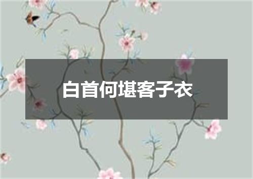 白首何堪客子衣