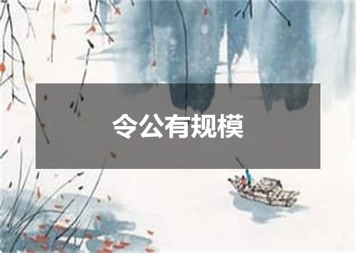 令公有规模