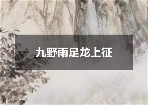 九野雨足龙上征