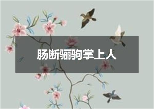 肠断骊驹掌上人