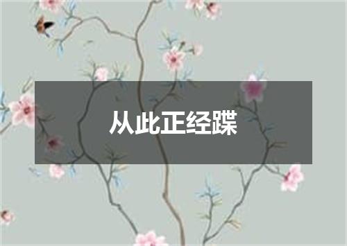 从此正经蹀