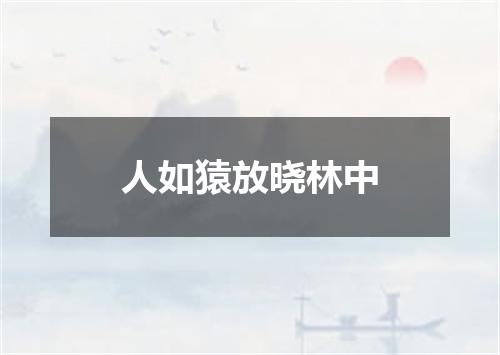 人如猿放晓林中