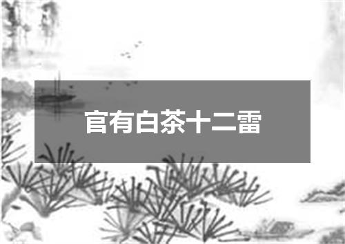 官有白茶十二雷