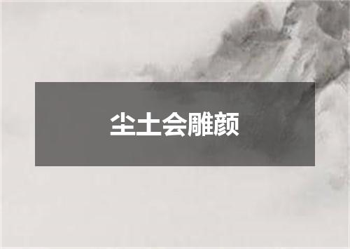 尘土会雕颜