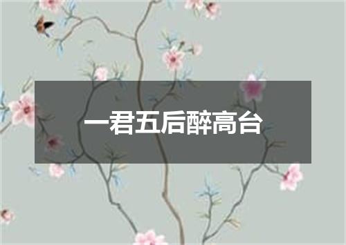 一君五后醉高台