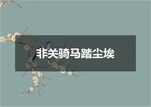 非关骑马踏尘埃