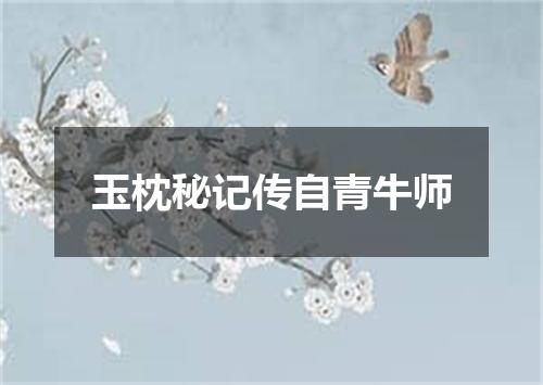 玉枕秘记传自青牛师