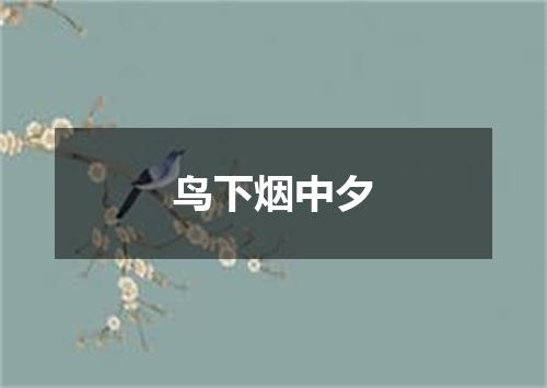 鸟下烟中夕