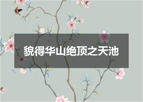 貌得华山绝顶之天池