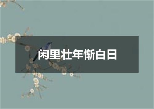 闲里壮年惭白日