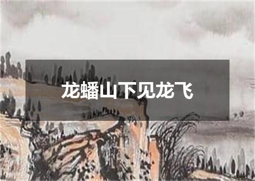 龙蟠山下见龙飞
