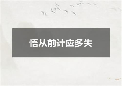 悟从前计应多失