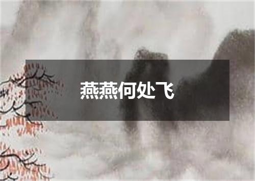 燕燕何处飞