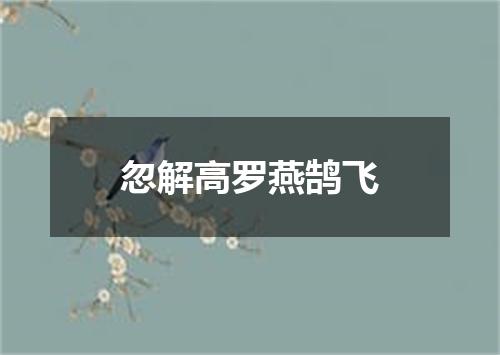 忽解高罗燕鹄飞