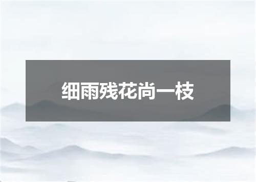 细雨残花尚一枝