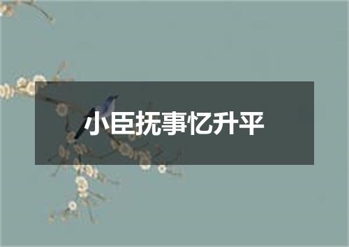 小臣抚事忆升平