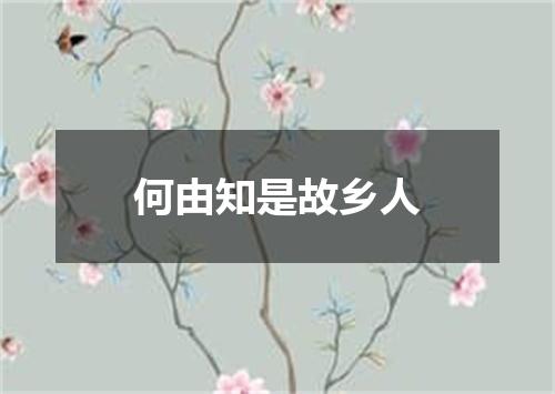 何由知是故乡人