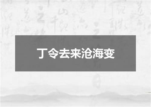 丁令去来沧海变
