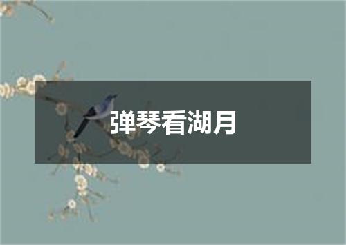 弹琴看湖月