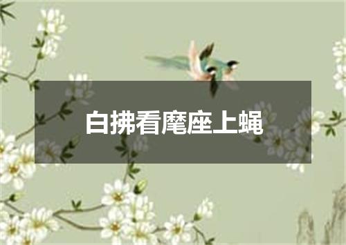 白拂看麾座上蝇