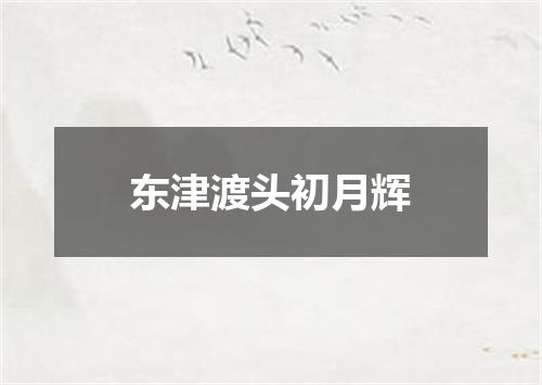东津渡头初月辉