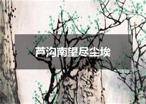 芦沟南望尽尘埃