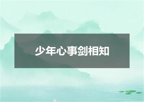 少年心事剑相知
