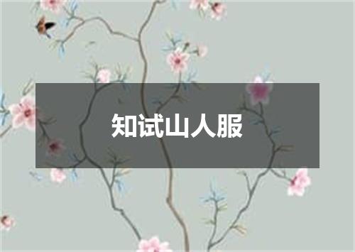 知试山人服