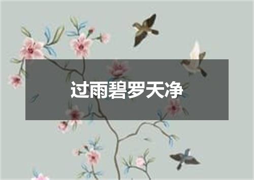 过雨碧罗天净