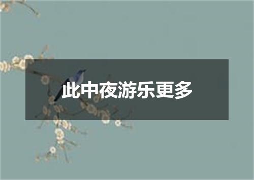 此中夜游乐更多