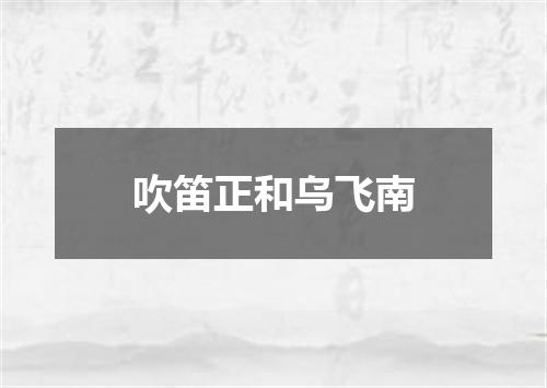 吹笛正和乌飞南