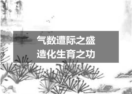 气数遭际之盛造化生育之功