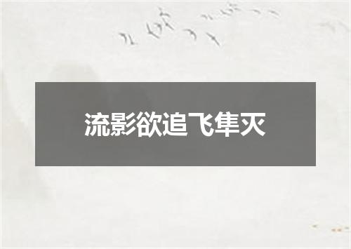 流影欲追飞隼灭