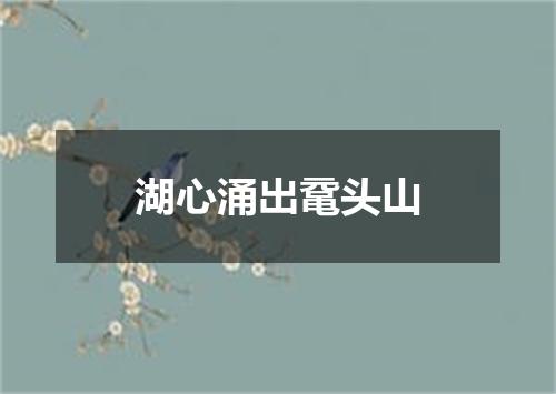 湖心涌出鼋头山