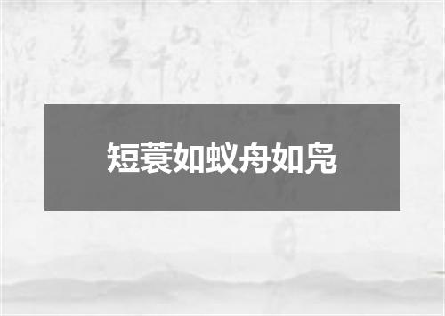 短蓑如蚁舟如凫