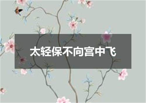 太轻保不向宫中飞